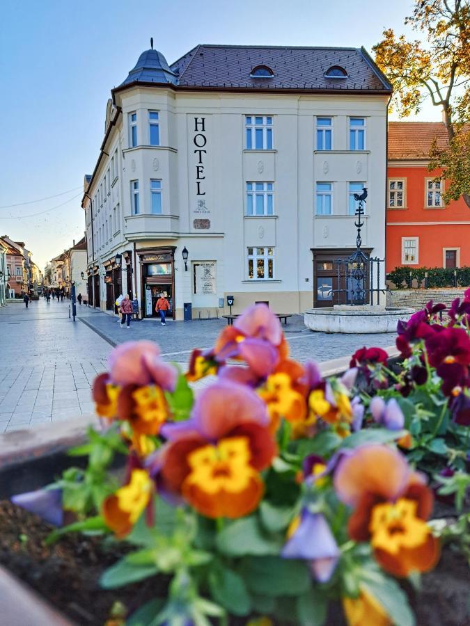 Hotel Domus Collis Győr Exteriör bild